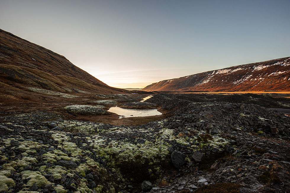 _K0A5208-Avec accentuation-Bruit