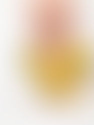 橄榄油有提高内分泌功能等作用