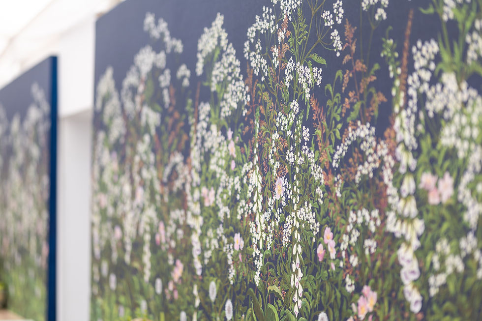 Thumbnail: WALLCOVERING. Spring Tonic in 'Midnight' (Rich dark blue) wildflower mural