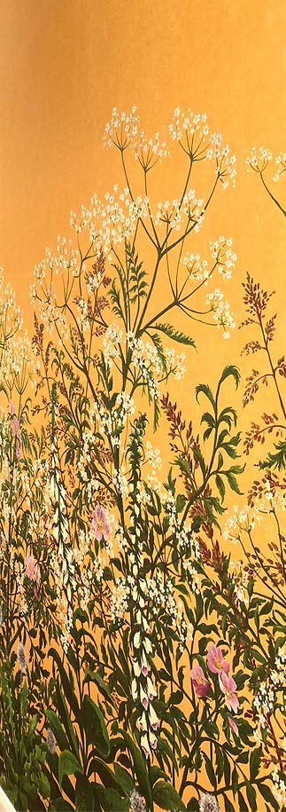 hand-painted wildflower hedgerow mural with yellow background with foxgloves, cowparsley and wild grasses.