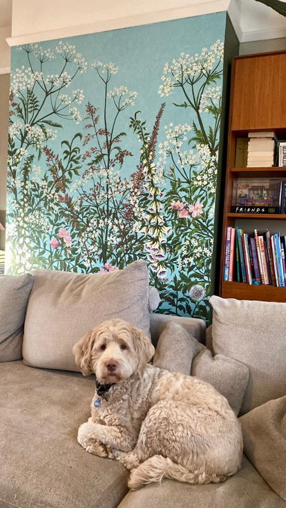 Thumbnail: WALLCOVERING. Spring Tonic in 'Happy Days' (pale aqua blue) Wildflower mural.