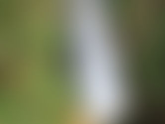 Making connections to the Foothills – Fennel Creek Trail