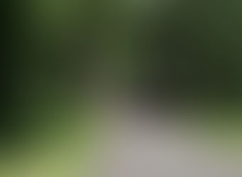 Pierce County Park Impact Fees increase debunked