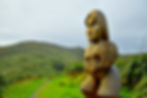 te ao maori - unsplash.jpg