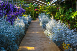 힐링의 세계꽃식물원