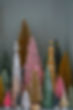 DSC09078.jpg