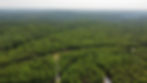 dji_fly_20250531_095824_112_1748703534294_photo_optimized.JPG