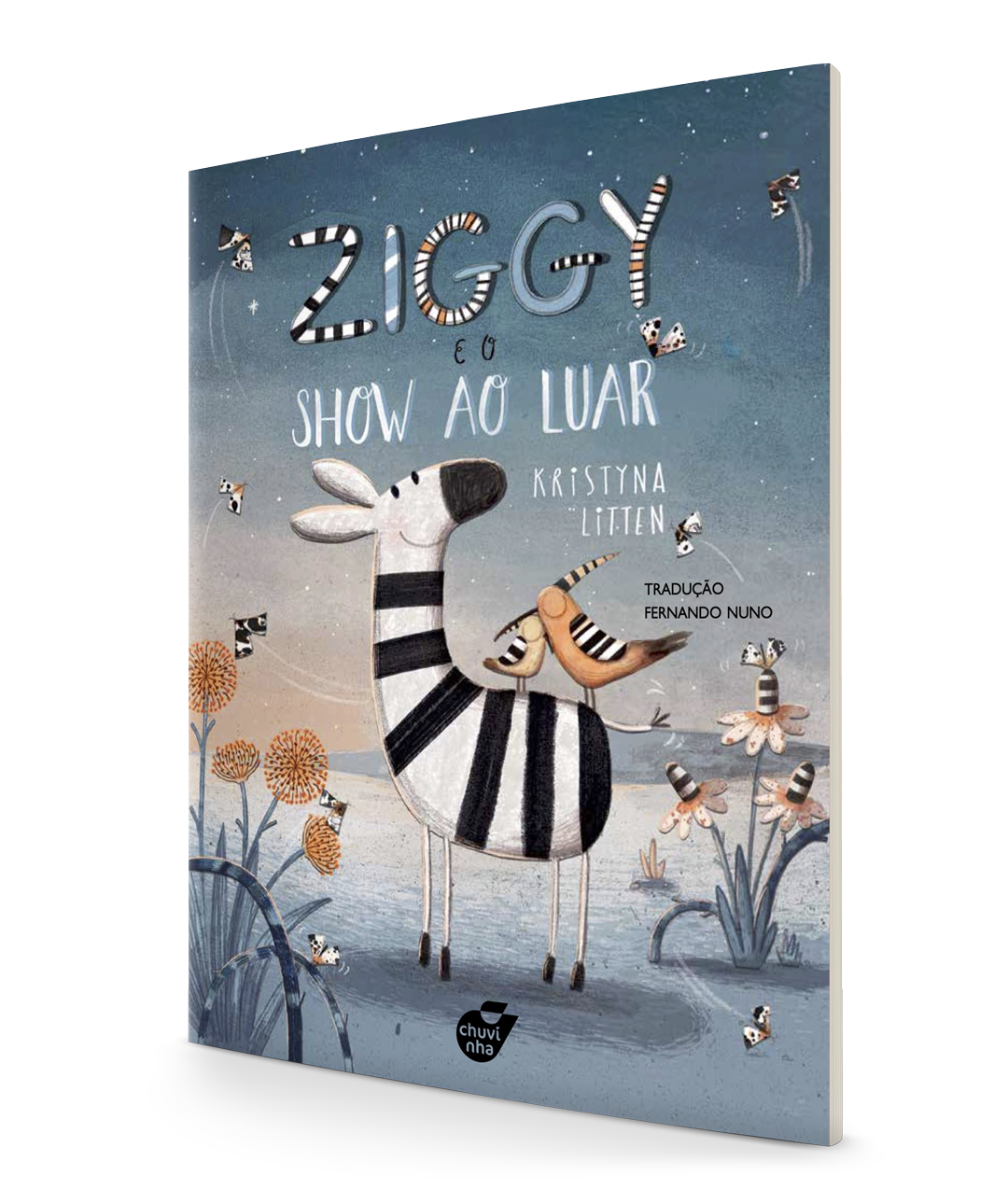 Ziggy e o show ao luar