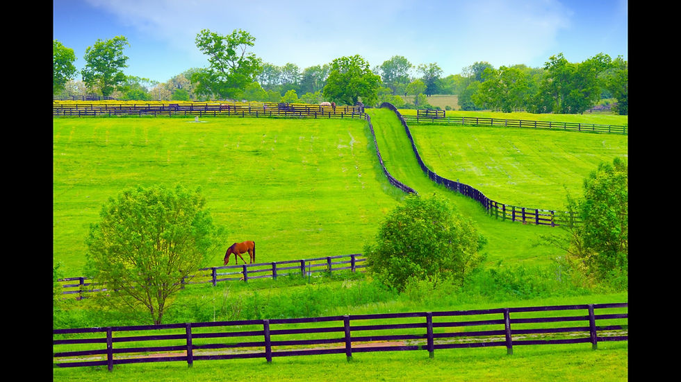 Equine Fencing