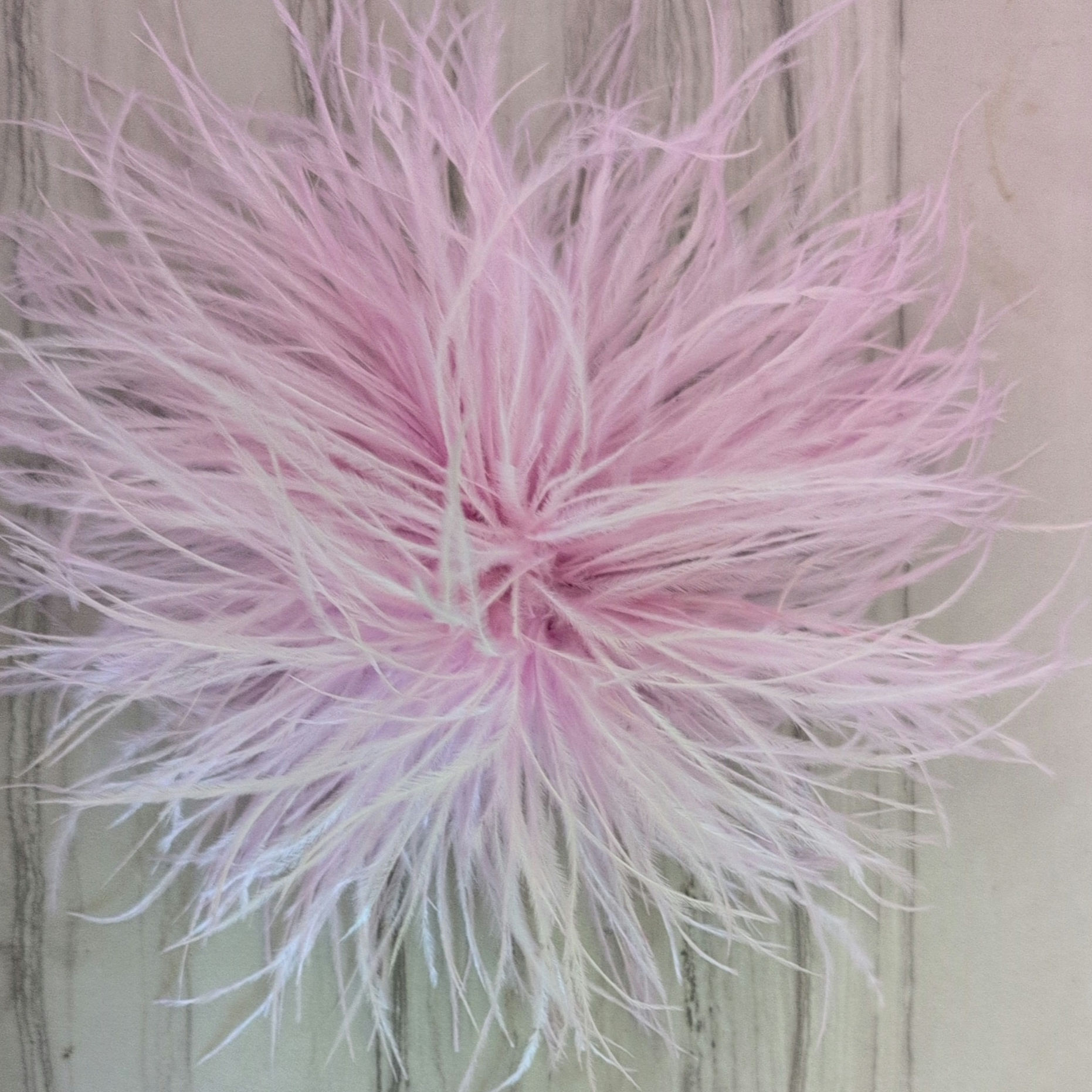 Feather Pom Brooch (shown in pink)