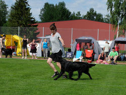 Kalla tar Reserv-cert!