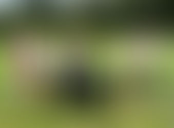 Piaf vinner SGL:s Mock Trial i Novice!