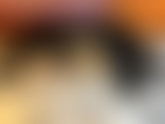 Piaf fick 10 valpar med GB FTCH Carnochway Red Rooster