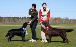 Vilken dag! Toulouse BIR & Garbo BIM