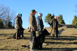 Vi väntar på signal