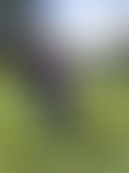 Teka löper och planer för Leia!