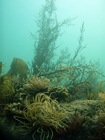 p4140030-2.jpg