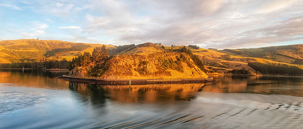 Kuku for Kiwis, Part II and The Merry Ol' Land of Oz, Part I