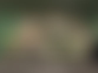 Kreativer Frühlingszauber - unseres Osterschalen Workshops bei Alea Blumen&mehr 