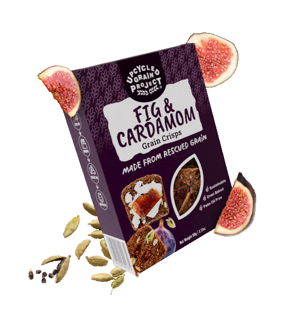Fig_Cardamom.gif