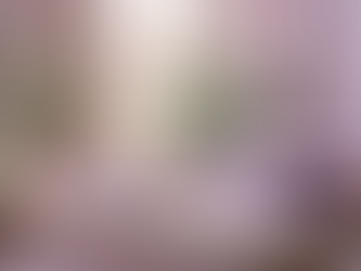 Elif Sigorta ve Ürün Yelpazesi