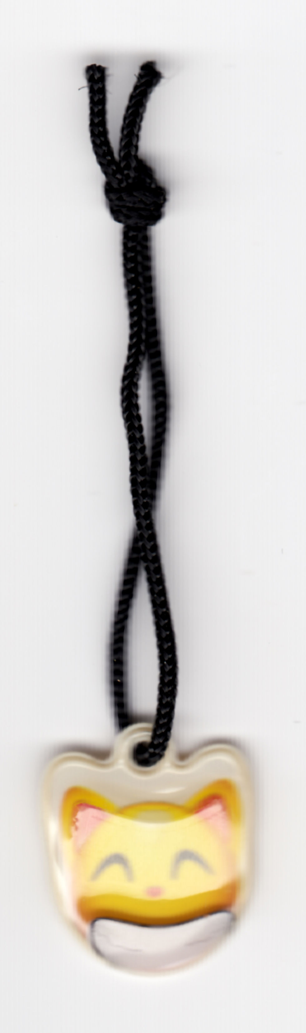 2006.06.03.06