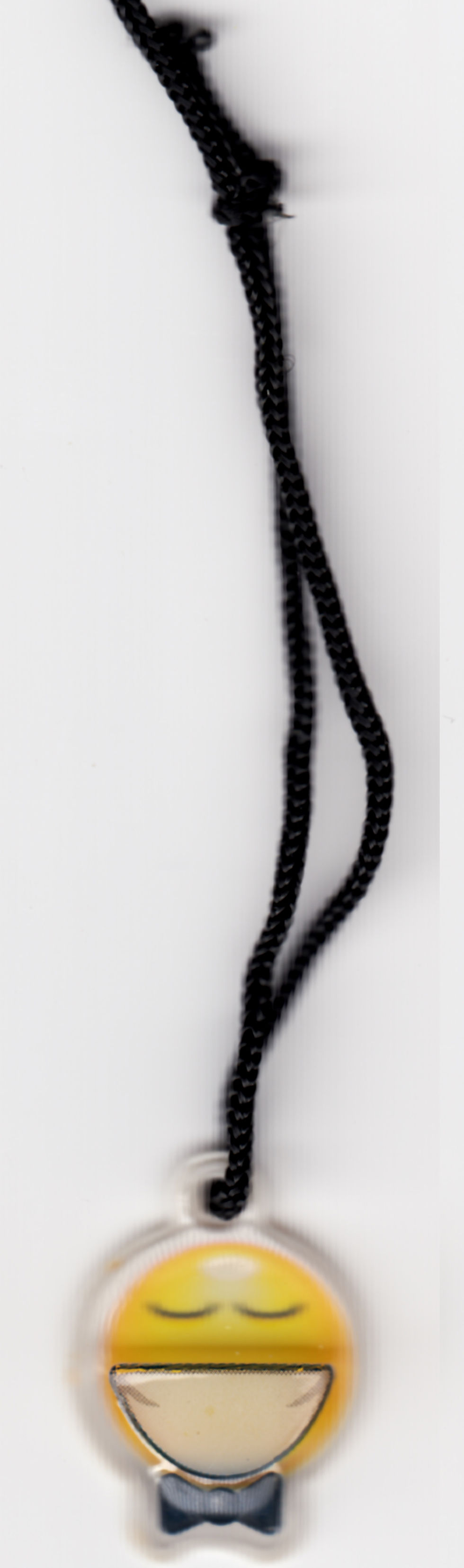 2006.06.03.31