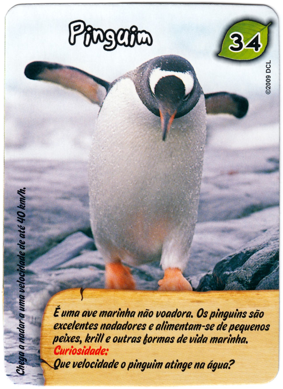 2009.05.01.34