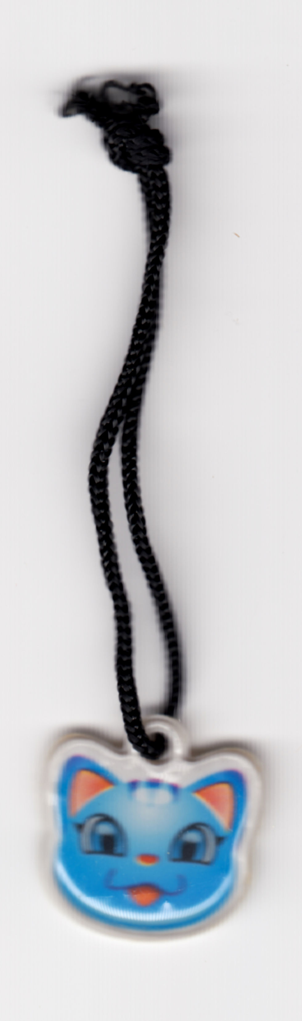 2006.06.03.25