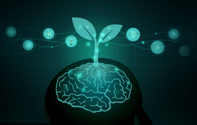 The Brain May Work More Like a Garden Than a Light Switch