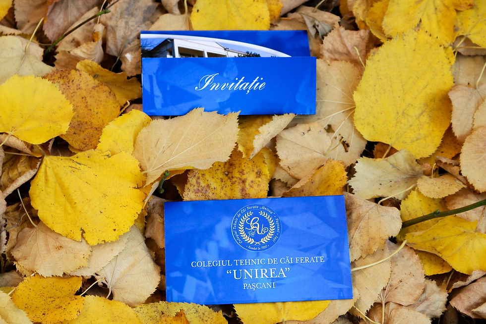 Miniatură: Invitatii Grafice Curs Festiv