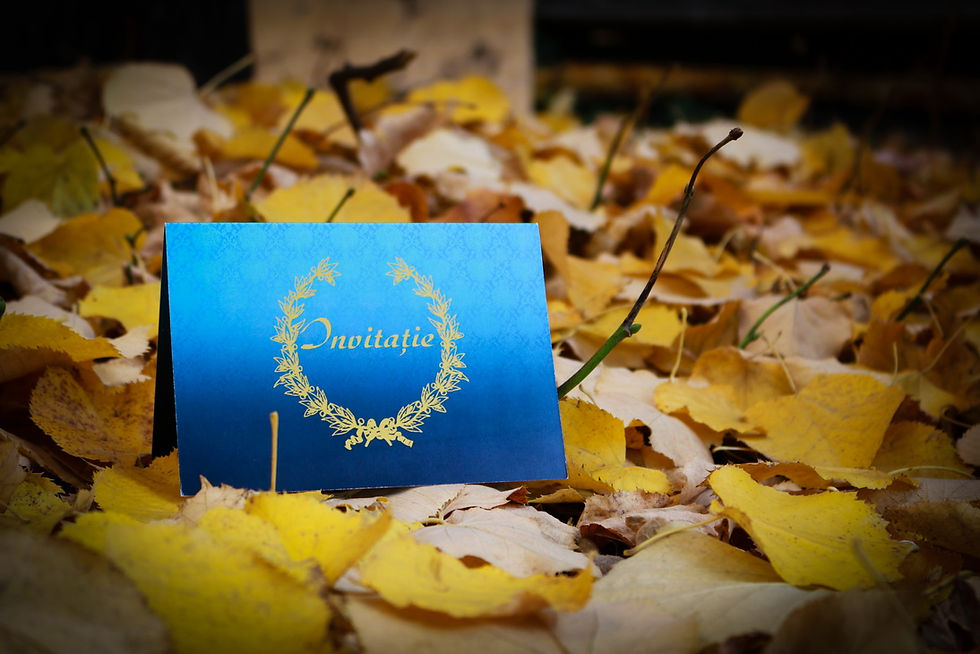 Miniatură: Invitatii Grafice Curs Festiv