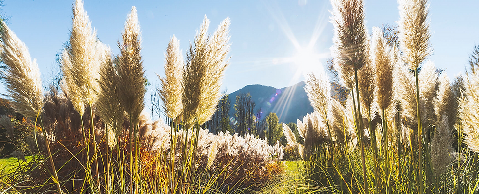BAD ISCHL UND TRAUNSEE_25 10 2021_31 Kopie_edited.png