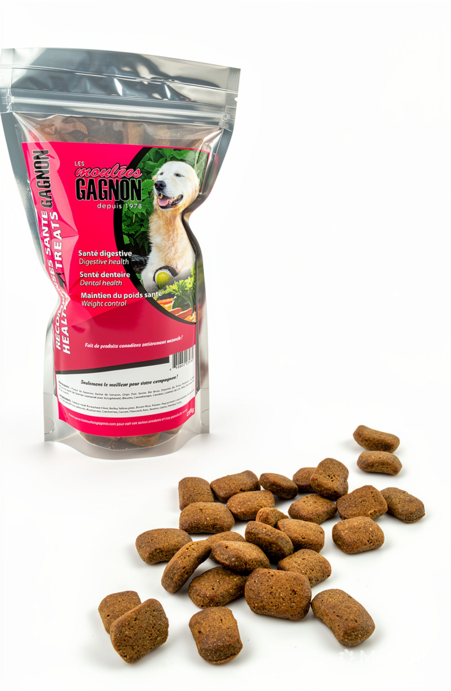 Les Moulées Gagnon Biscuit Santé Saumon