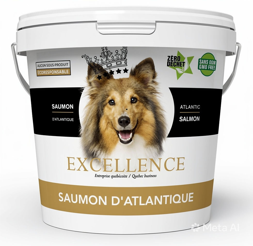 Excellence nourriture chien chaudière Saumon