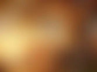 A Tarde da Sabedoria: Conexão de Gerações