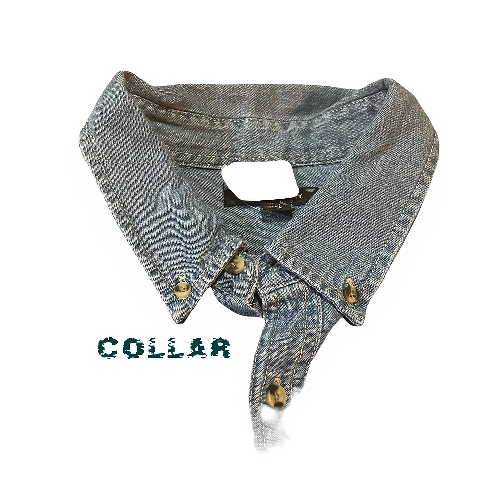 Thumbnail: Trevino’s Long Sleeve Denim