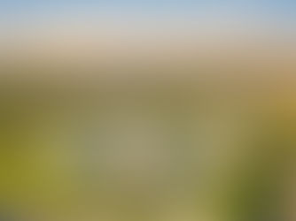 More than 4,000 bill requests in Montana legislative session - so far