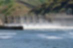 One of the four lower snake river dams