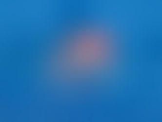 America 250: MSPC launches "We the Students" Civics Bowl