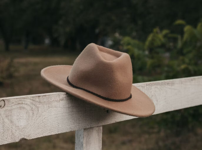 A Texas-sized education choice miracle in Idaho