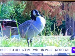 TV typo provides lesson on core functions of government