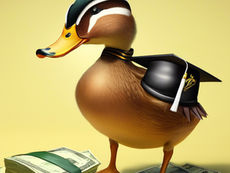 Vouchers, ducks and the need to be honest