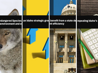 Cast your vote now for the 2025 Sawtooth Leadership Academy scholarships!