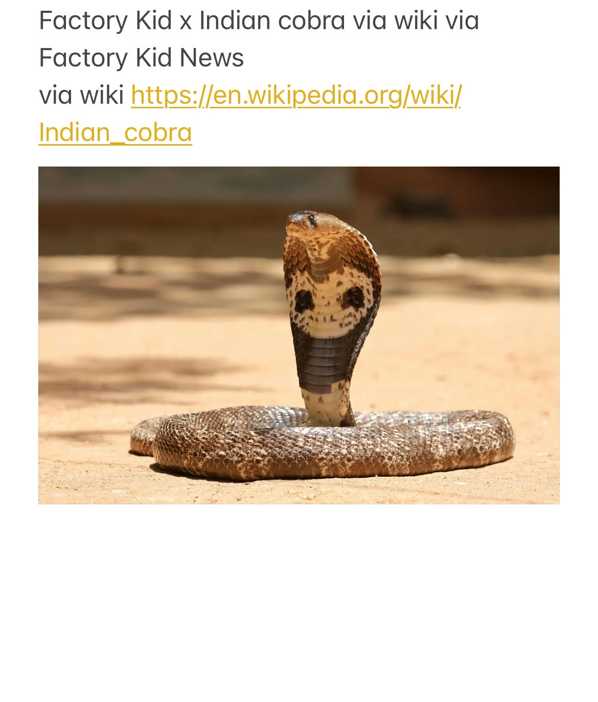 Indian cobra via wiki via Factory Kid News https://en.wikipedia.org/wiki/Indian_