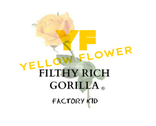 Thumbnail: Filthy Rich Gorilla x Yellow Flower boxer underwear  We Need It! 🤑 @factory_kid