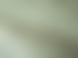 Flaubert et Sartre, les chemins de l'écriture