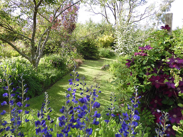DSCN4587.JPG