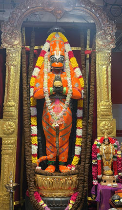 WhatsApp Image 2025-12-20 at 13.13.38 (2)