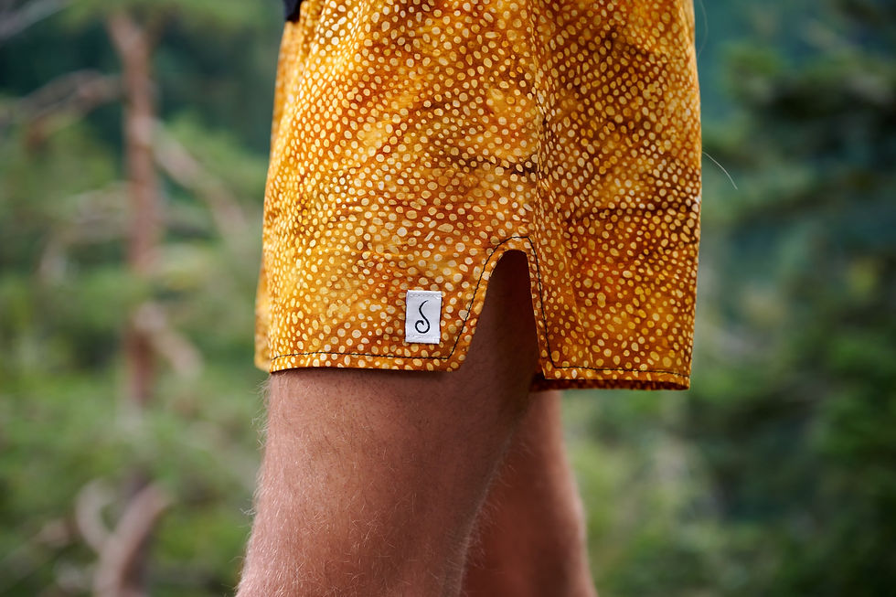 Miniaturbild: Soulshorts "Lebenskraft"